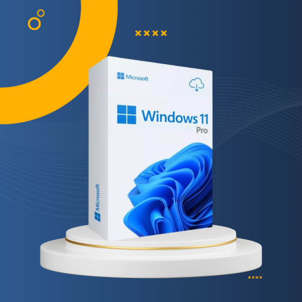 Windows 11